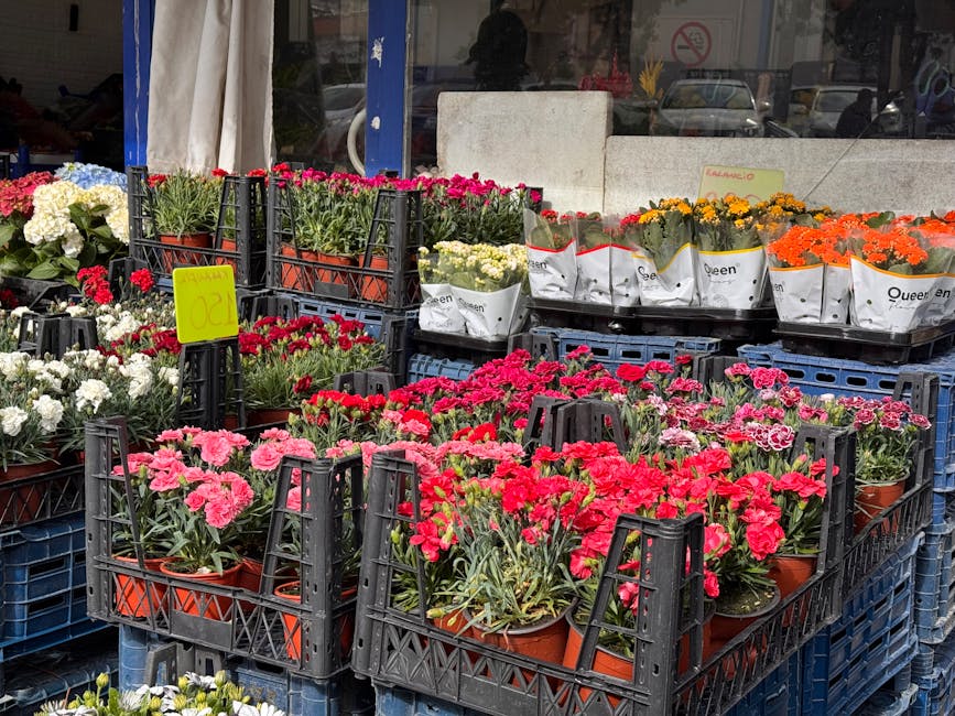 A display of potted flowering plants arranged in black plastic crates outside a flower shop, featuring vibrant pink, red, white, yellow, and orange blooms including carnations and chrysanthemums. The 