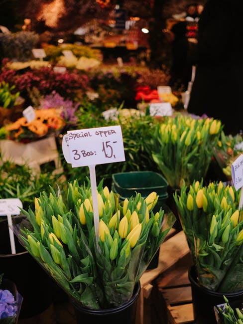 A display of fresh yellow tulips in clear plastic sleeves arranged in black pots at a flower market stall, with a handwritten sign indicating a special offer of 3 packs for 15 pounds. The tulips have 